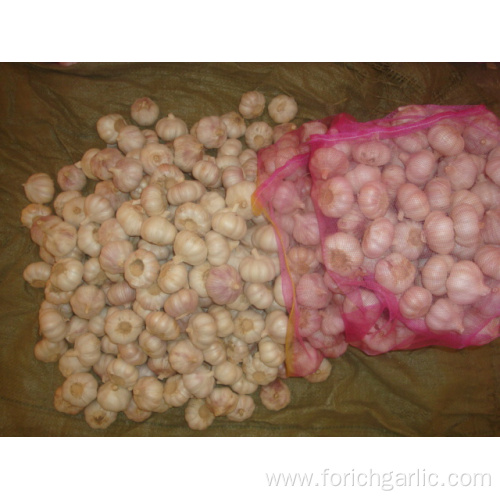 Normal white garlic 10kg mesh bag